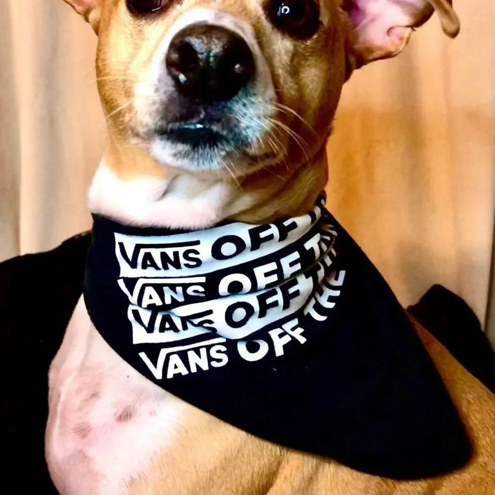 Upcycled T-Shirt Dog Bandana | Eco Friendly Graphic Pet Scarf | Choose Style